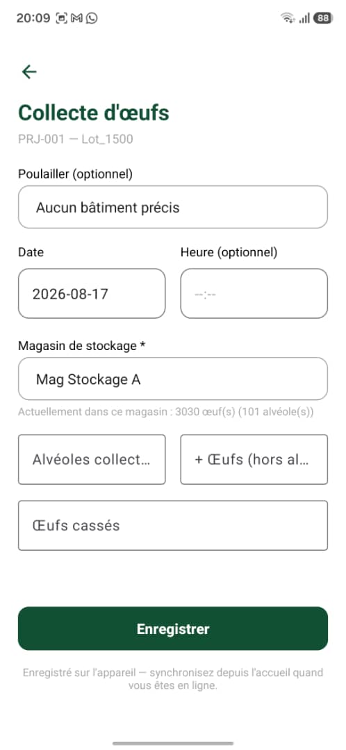 Écran Collecte d'œufs de l'application mobile Cocorico